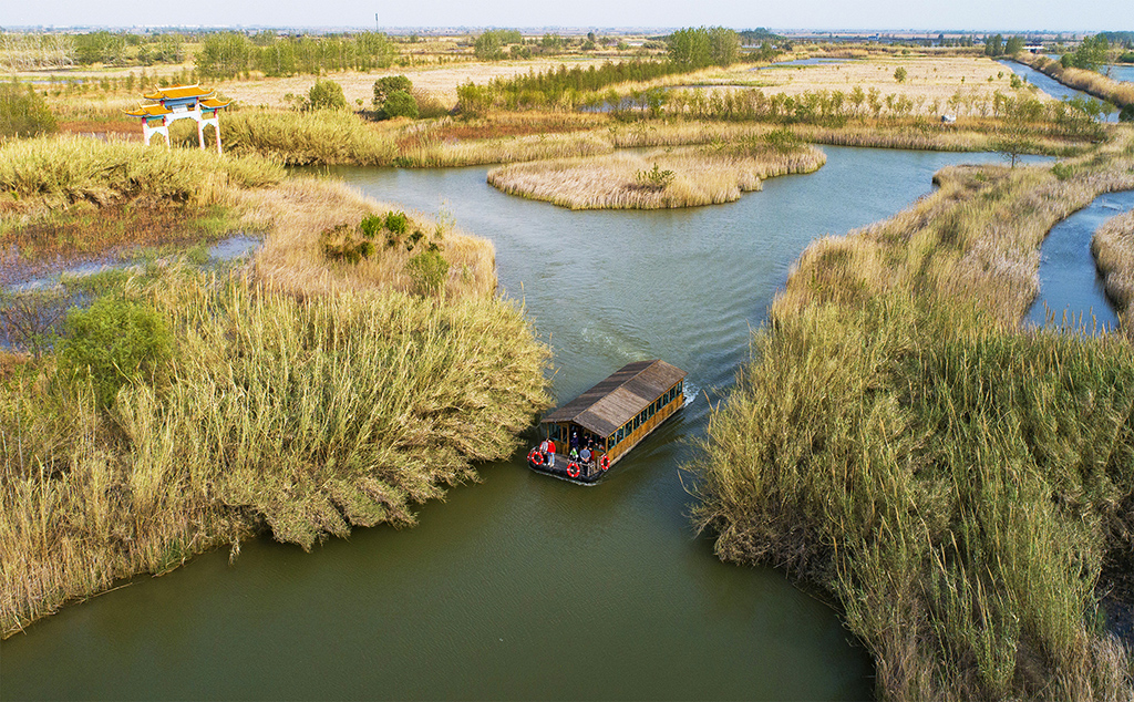 1599470049142926.jpg 192.jpg