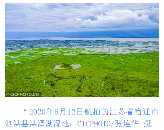 1599486754372736.png 微信截圖_20200907215929.png