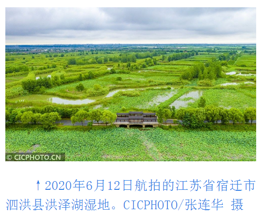 1599486767992527.png 微信截圖_20200907215941.png