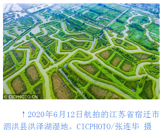 1599486782647600.png 微信截圖_20200907215950.png