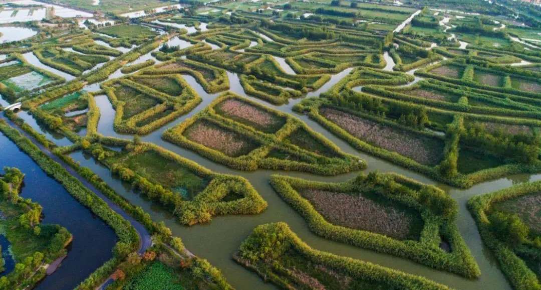 1599527984111403.jpg luw.jpg