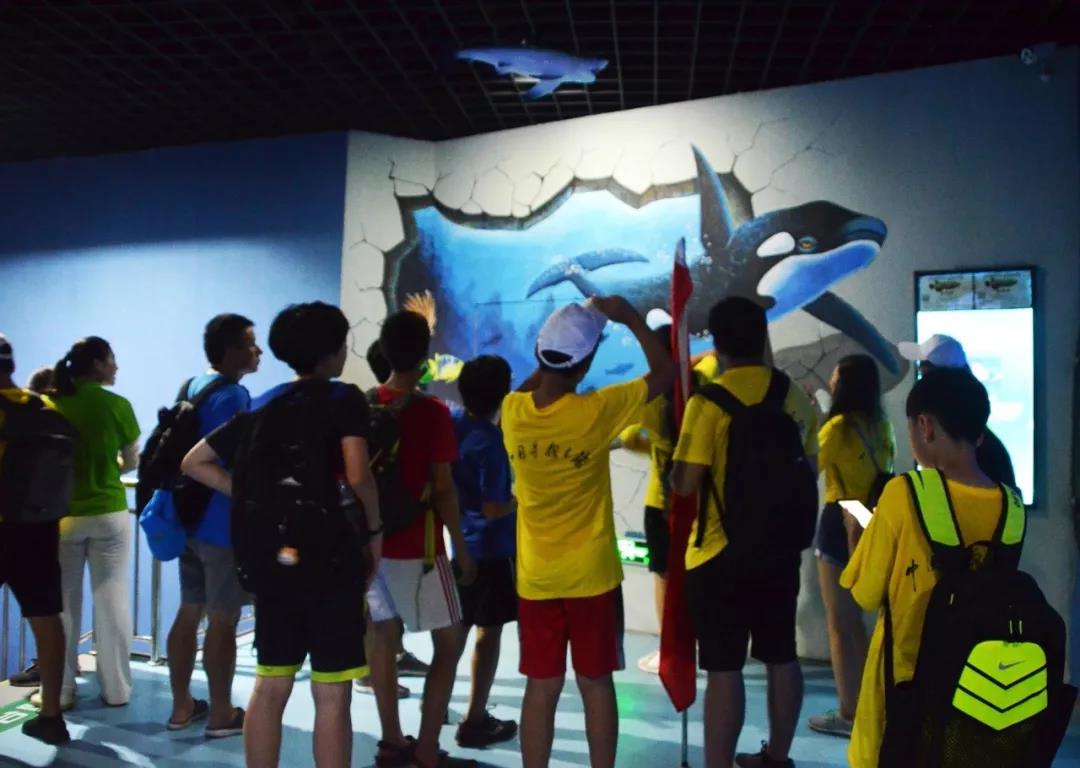 1599548443981346.jpg 外2.jpg