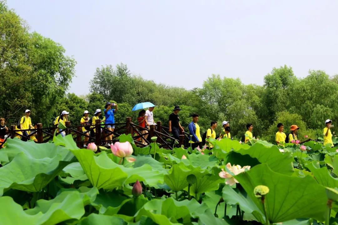 1599548458461955.jpg 外3.jpg