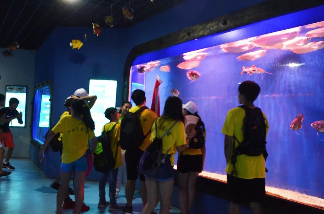 1599548514326523.jpg 外5.jpg