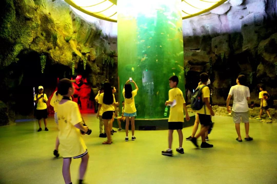 1599548533818198.jpg 外6.jpg