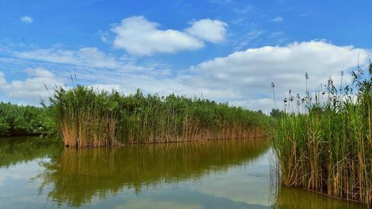 1599558700192306.jpg 88888.jpg