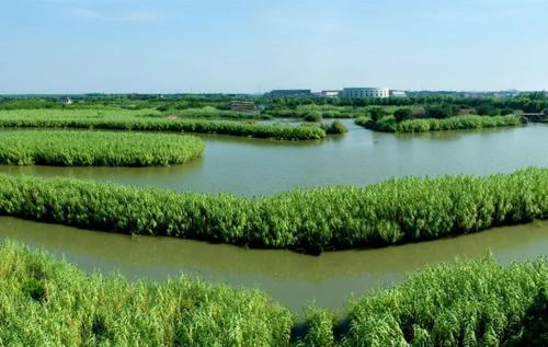 1599559086616121.jpg 52.jpg