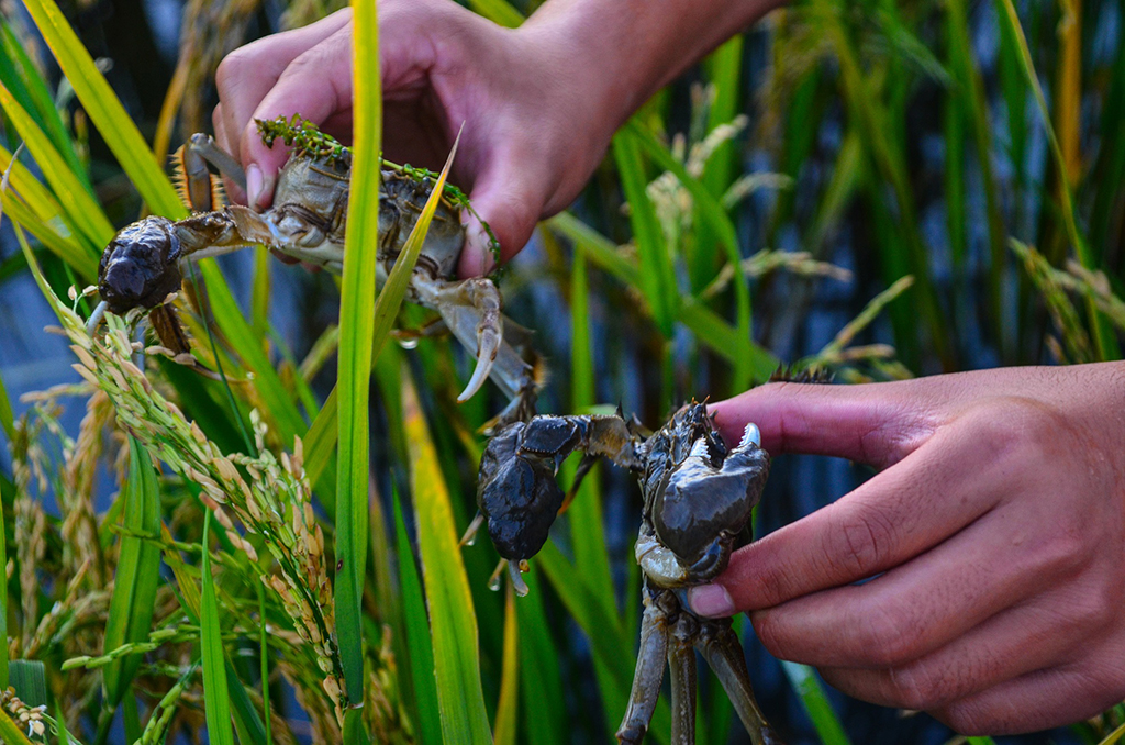 1600672882611828.jpg 61.jpg