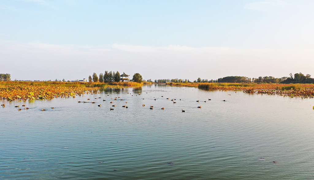 1600672938682387.jpg 13.jpg